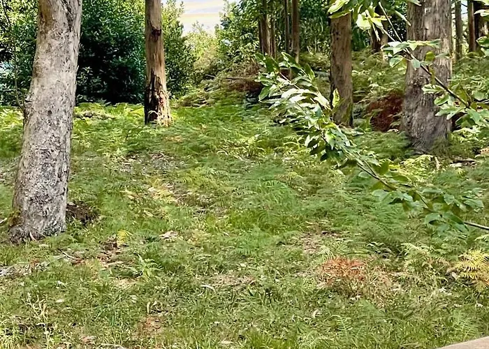 The Cliffs - The Painted Mill Tatil Evi Porto do Barqueiro